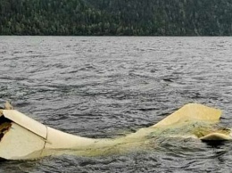 Хвостовая часть упавшего самолета всплыла на Телецком озере