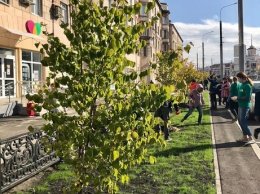 Новокузнецкие власти решили посадить 200 деревьев и кустарников при помощи горожан