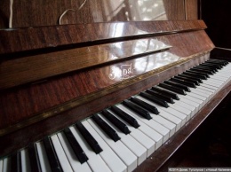 Правительство передает областным муниципалитетам 10 пианино