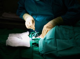 Руководство медцентра уволило единственного в РФ детского врача-трансплантолога