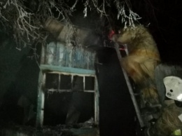 Три человека погибли на пожаре в Алтайском крае
