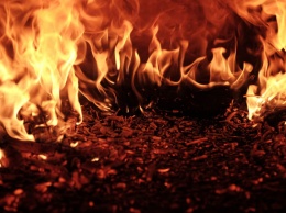Семья с детьми отравилась угарным газом при пожаре в Новосибирске
