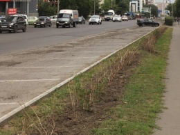Мэрия Барнаула пообещала восстановить сгинувший из-за благоустройства кустарник в центре города