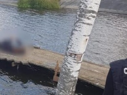 Труп москвича нашли водолазы в Калужской области