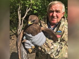 Необычную редкую птицу встретила жительница Алтайского края у себя дома