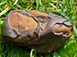 Алтайский грибник случайно нашел метеорит, которому миллиарды лет