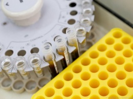 Американские ученые обнаружили белок, полностью нейтрализующий коронавирус