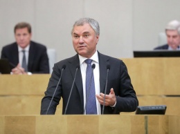 Председатель Госдумы потребовал от двух депутатов покинуть зал заседания