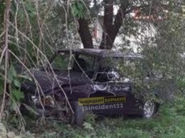 Водитель «Жигули» протаранил дерево в Барнауле