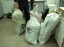 В усадьбе жителя Серышевского района нашли более 40 кило наркотиков