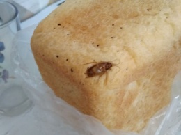 Новокузечанин приобрел хлеб с крупным насекомым