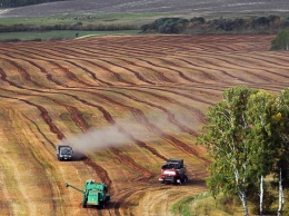 Алтайские аграрии спешат поскорее завершить полевые работы