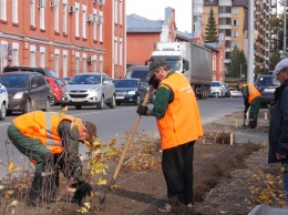 В Барнауле началась осенняя посадка деревьев