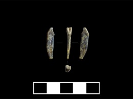 Ученые нашли в алтайской пещере зубы неандертальцев