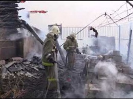 Крупные лесные пожары добрались до пяти населенных пунктов под Воронежем