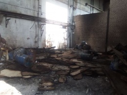 На заводе «Карелия ДСП» в Пиндушах снова случился пожар