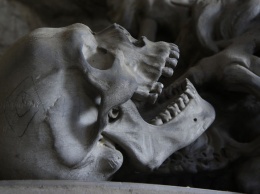 Грибники нашли человеческий череп в лесу в Московской области
