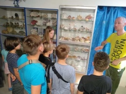 Частный музей палеонтологии в Ялте "Jurassic corals" нуждается в помощи