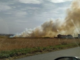 В Белгородской области одновременно тушат четыре природных пожара
