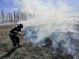 Причиной загорания травы под Белгородом стало замыкание линии электропередач