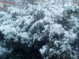Первый снег накрыл кузбасские города