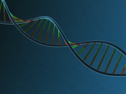 Ученые нашли в геноме человека ДНК загадочных видов