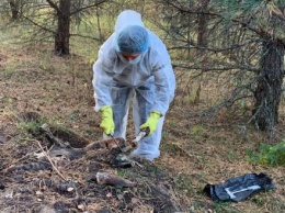 В Калужской области обнаружили зараженный чумой несанкционированный скотомогильник