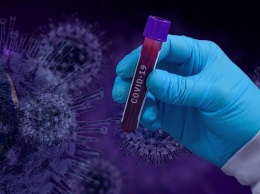 Специалисты рассказали, у кого чаще всего выявляют антитела на коронавирус в Барнауле