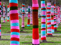 Благовещенцам предлагают связать теплые шарфы для деревьев