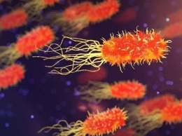 Ученые из США заявили об опасности новой эпидемии из-за антибиотиков и супербактерий