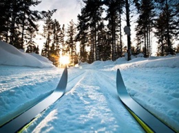 Лыжную трассу сделают в центре Белогорска