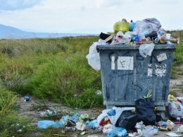 Хабаровский край стал одним из худших регионов РФ по темпам реализации мусорной реформы