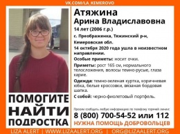 Волонтеры объявили сбор в кузбасскую тайгу на поиски 14-летней