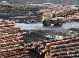 Два новых цеха по переработке древесины построят в Кондопоге