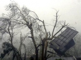 В Крыму ветер сорвал крышу школы и повалил десяток деревьев на провода