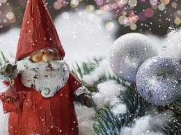 Барнаульцев зовут на день рождения Деда Мороза 24 ноября