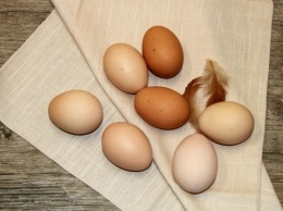 Ученые назвали продукты, не сочетающиеся с яйцами