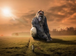 Современные обезьяны оказались умнее, чем предки человека