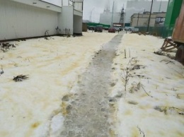 "Правда всегда вылезает наружу!" Жители Сегежи сравнили снимки с желтым и белым снегом