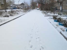 В Алтайском крае выпал первый снег. Очевидцы делятся снимками