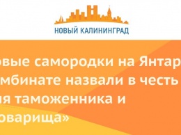 Новые самородки на Янтарном комбинате назвали в честь Дня таможенника и «товарища»