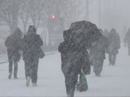 Снег и сильный ветер ожидаются в Приамурье в ближайшие дни