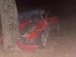Под Черняховском «Мазда» врезалась в дерево, пострадали трое (фото)