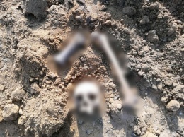 Рабочие нашли человеческие кости в привезенном самосвалом грунте в Саратовской области