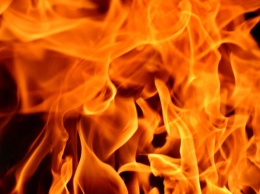 Выпрыгнувшая из окна горящей квартиры школьница травмировала позвоночник в ЕАО