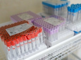 Поставки лекарств в белгородские аптеки возобновят к концу недели