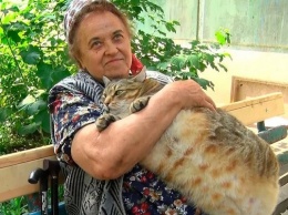Толстого кота из Бийска посадили на диету