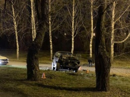 Лихач при попытке уйти от полиции врезался в дерево в Новокузнецке