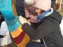 Мастерицы из Благовещенска, Белогорска и Зеи связали шарфы для деревьев