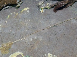 На Алтае обнаружили уникальные петроглифы